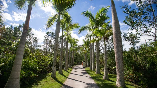 The Caribbean Gardens, at the Naples Zoo
